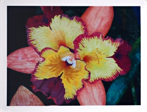 Notecard, Orchid #1