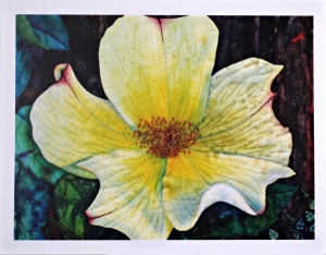 Notecard, Wood Rose