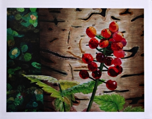 Notecard, Woodland Berries